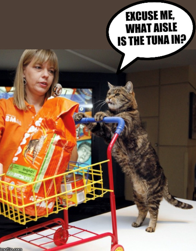 M& snipho CAHBVITJAORA imgflip.com EXCUSE ME, WHAT AISLE IS THE TUNA IN?