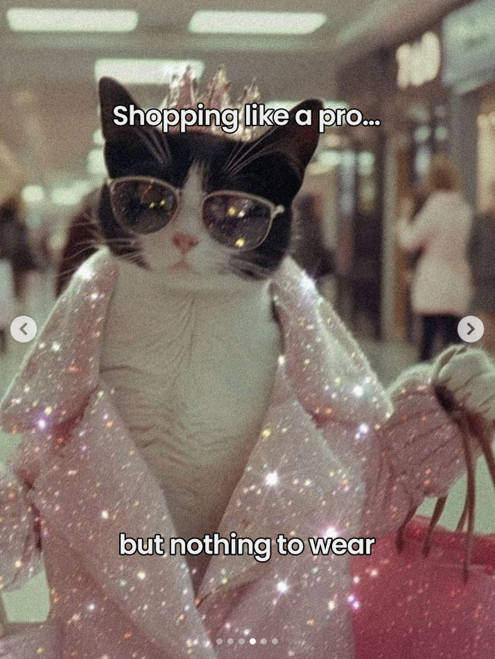 < Shopping like a pro... but nothing to wear