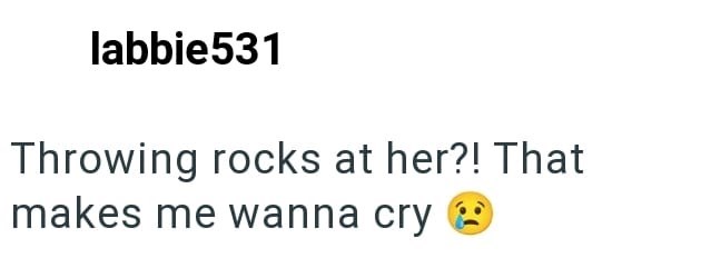 labbie531 Throwing rocks at her?! That makes me wanna cry