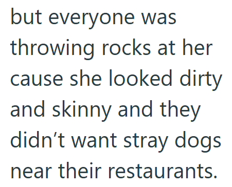 but everyone was throwing rocks at her cause she looked dirty and skinny and they didn't want stray dogs near their restaurants.