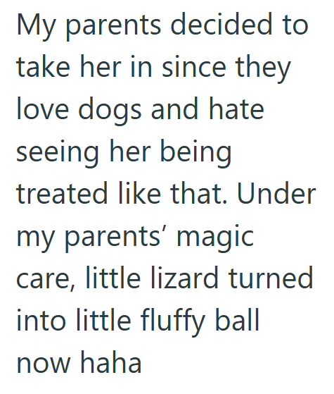 My parents decided to take her in since they love dogs and hate seeing her being treated like that. Under my parents' magic care, little lizard turned into little fluffy ball now haha