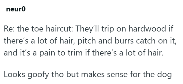 neuro Re: the toe haircut: They'll trip on hardwood if there's a lot of hair, pitch and burrs catch on it, and it's a pain to trim if there's a lot of hair. Looks goofy tho but makes sense for the dog