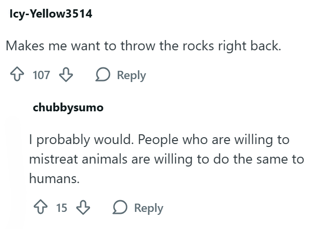 Icy-Yellow3514 Makes me want to throw the rocks right back. 107 chubbysumo Reply I probably would. People who are willing to mistreat animals are willing to do the same to humans. 15 Reply