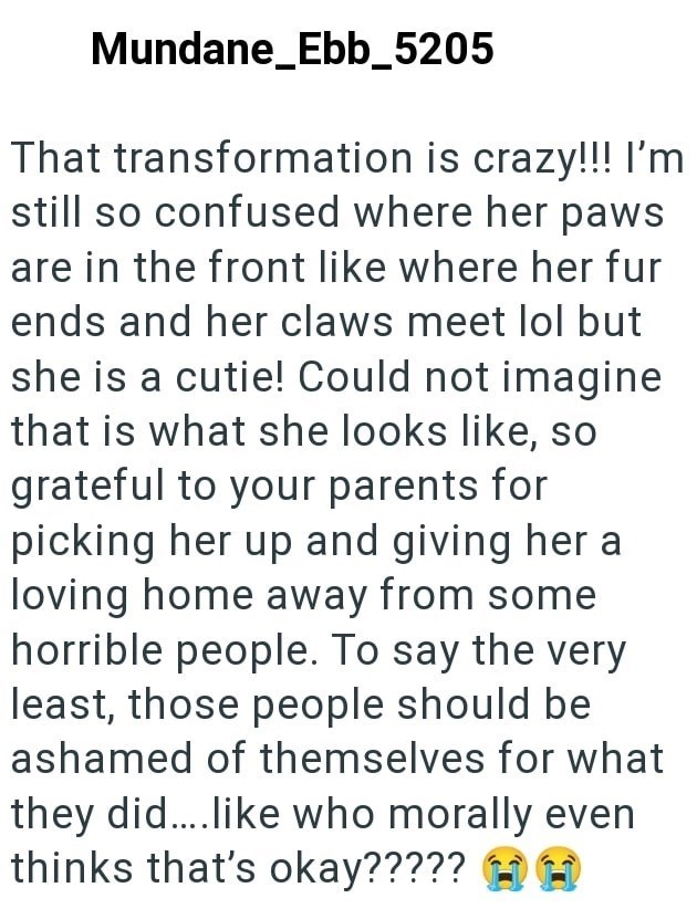 Mundane_Ebb_5205 That transformation is crazy!!! I'm still so confused where her paws are in the front like where her fur ends and her claws meet lol but she is a cutie! Could not imagine that is what she looks like, so grateful to your parents for picking her up and giving her a loving home away from some horrible people. To say the very least, those people should be ashamed of themselves for what they did....like who morally even thinks that's okay????? H