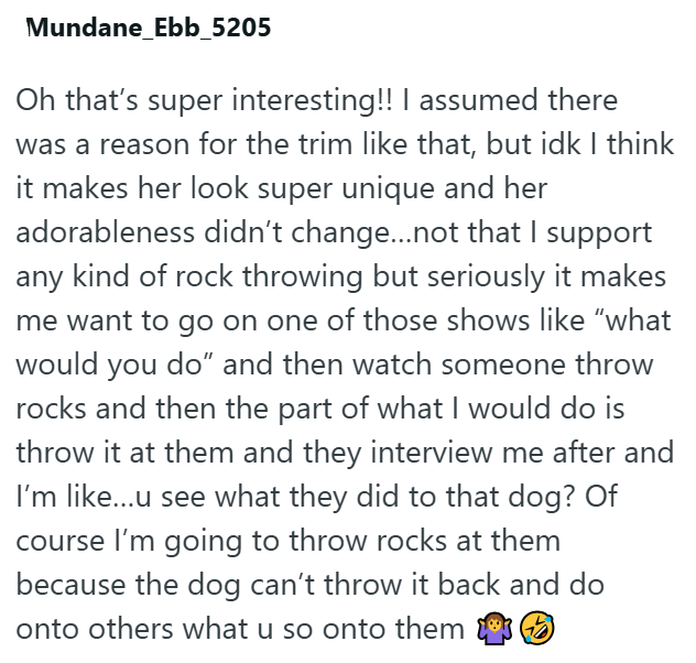 Mundane_Ebb_5205 Oh that's super interesting!! I assumed there was a reason for the trim like that, but idk I think it makes her look super unique and her adorableness didn't change...not that I support any kind of rock throwing but seriously it makes me want to go on one of those shows like "what would you do" and then watch someone throw rocks and then the part of what I would do is throw it at them and they interview me after and I'm like…...u see what they did to that dog? Of course I'm goin
