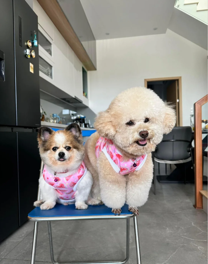 Cheezburger Image 10617420800