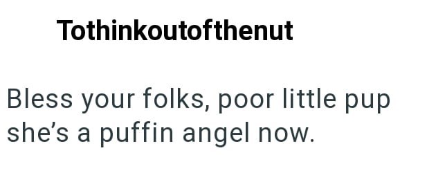 Tothinkoutofthenut Bless your folks, poor little pup she's a puffin angel now.
