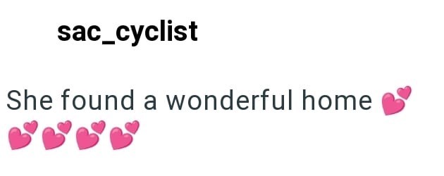 sac_cyclist She found a wonderful home