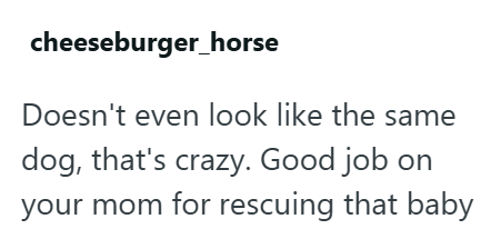 cheeseburger_horse Doesn't even look like the same dog, that's crazy. Good job on your mom for rescuing that baby