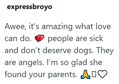 expressbroyo Awee, it's amazing what love can do. people are sick and don't deserve dogs. They are angels. I'm so glad she found your parents. ♡
