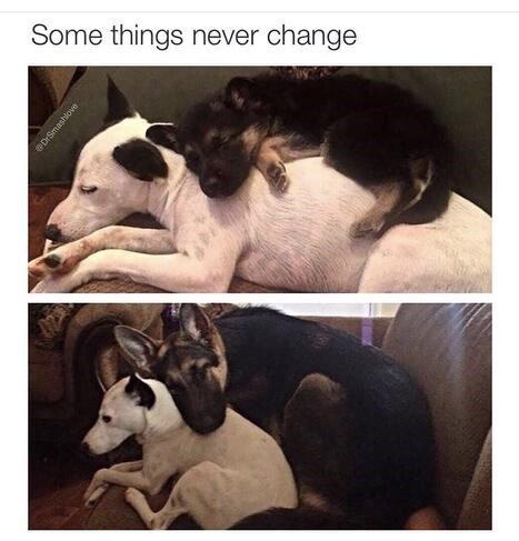 Some things never change @DrSmashlove