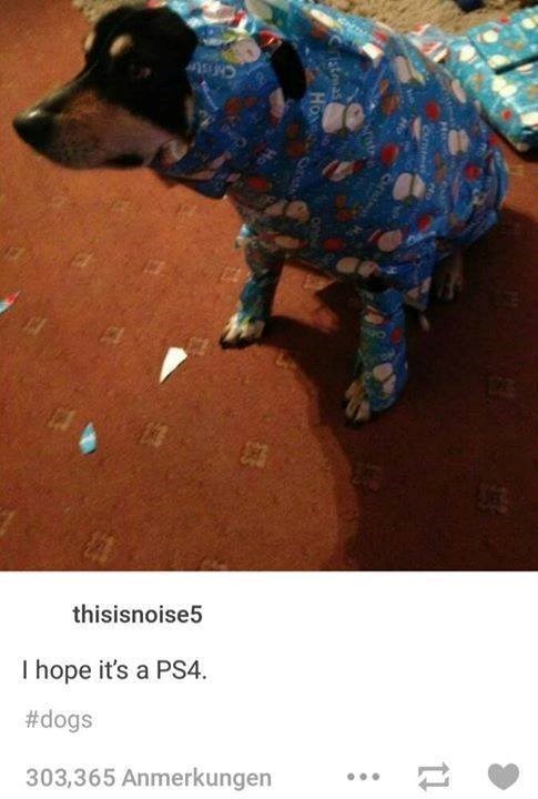 XS ristmas HON thisisnoise5 I hope it's a PS4. #dogs 303,365 Anmerkungen tl