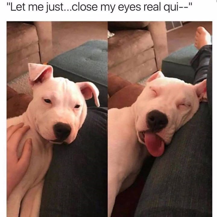 "Let me just...close my eyes real qui--"