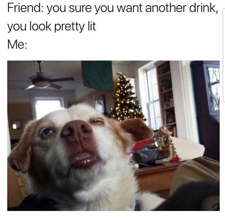 Friend: you sure you want another drink, you look pretty lit Me: