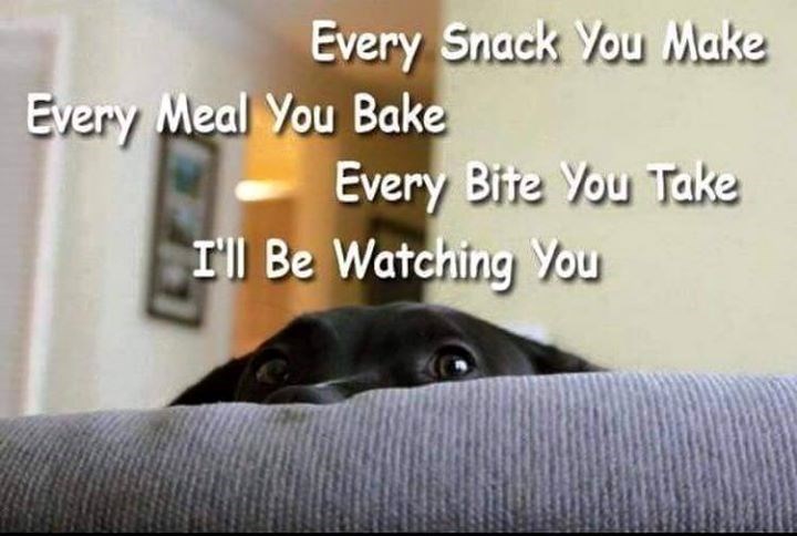 Every Snack You Make Every Meal You Bake Every Bite You Take I'll Be Watching You