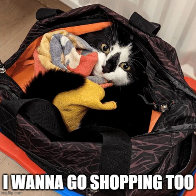 I WANNA GO SHOPPING TOO imgflip.com