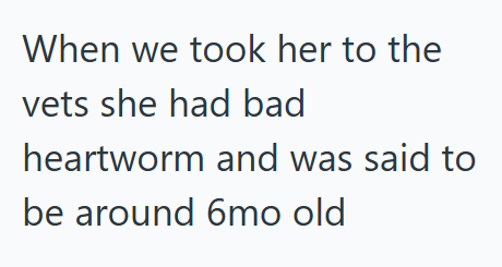 When we took her to the vets she had bad heartworm and was said to be around 6mo old