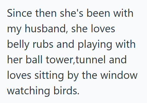 Since then she's been with my husband, she loves belly rubs and playing with her ball tower,tunnel and loves sitting by the window watching birds.