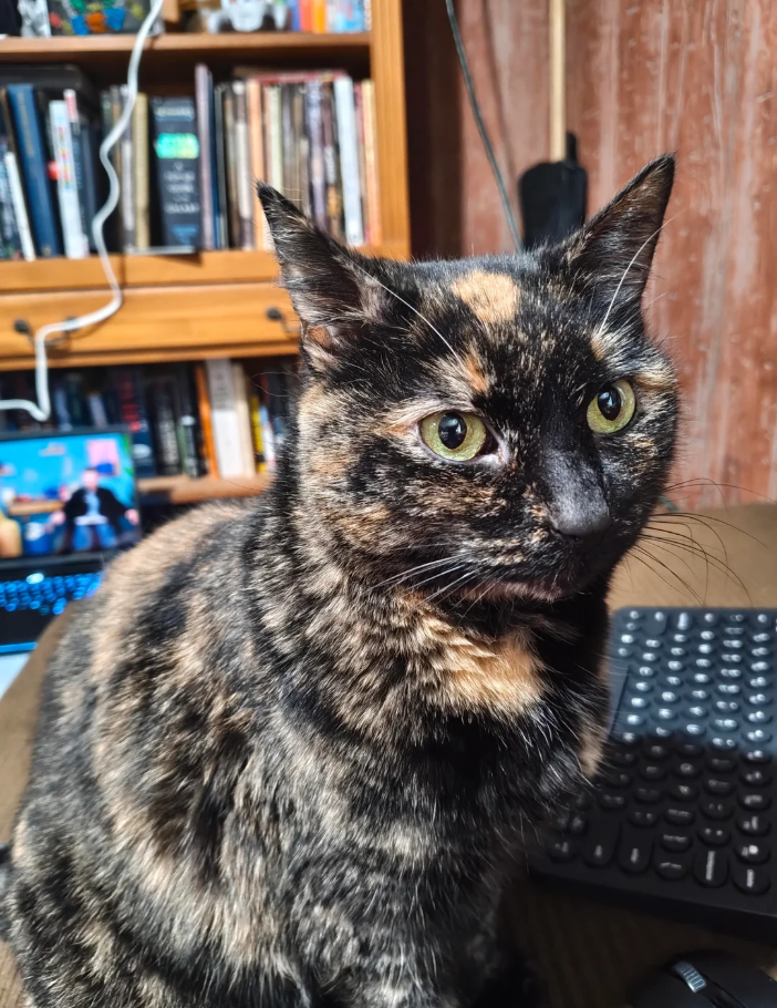 Cheezburger Image 10617434368