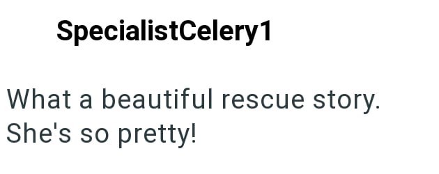 SpecialistCelery1 What a beautiful rescue story. She's so pretty!