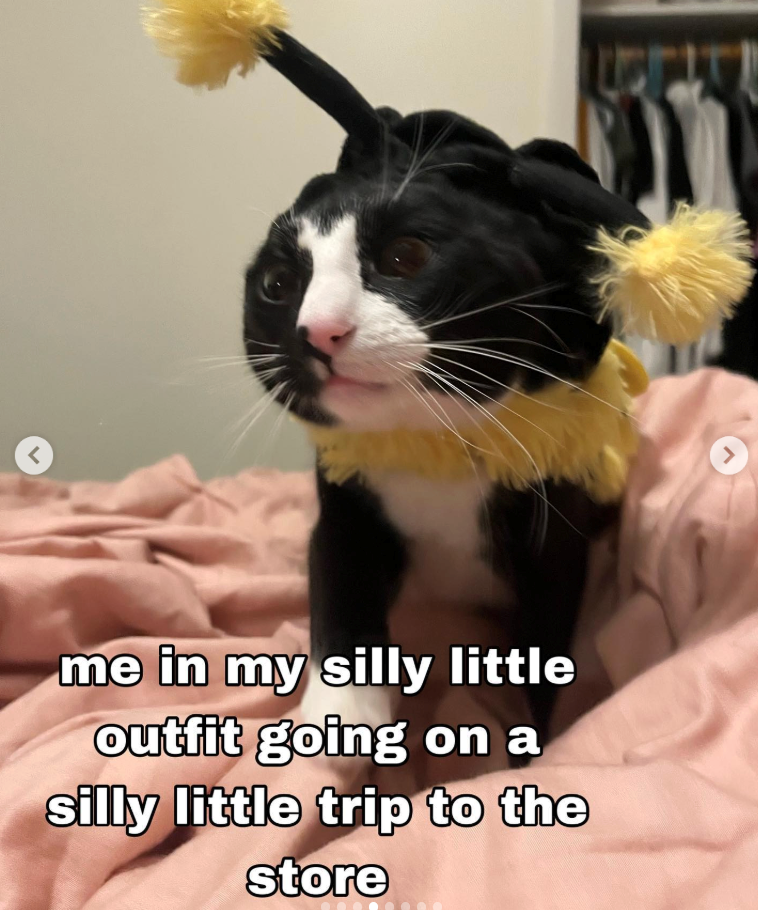 < me in my silly little outfit going on a silly little trip to the store >