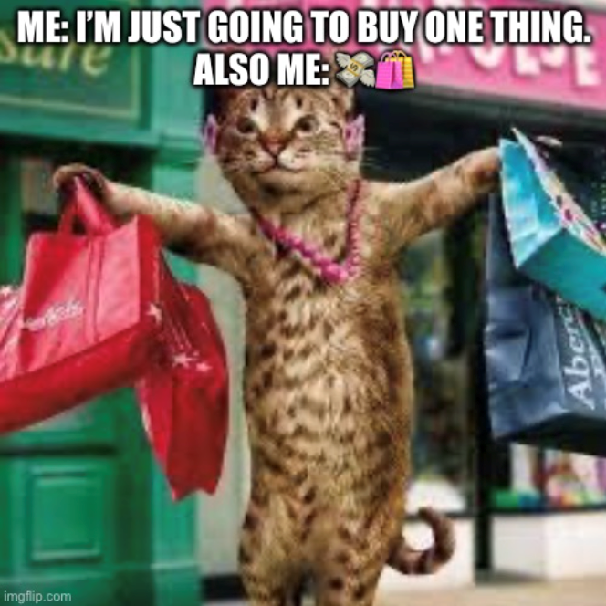 imgflip.com ME: I'M JUST GOING TO BUY ONE THING. ALSO ME: Aberc
