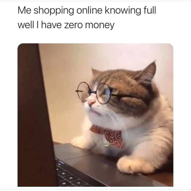 Me shopping online knowing full well I have zero money
