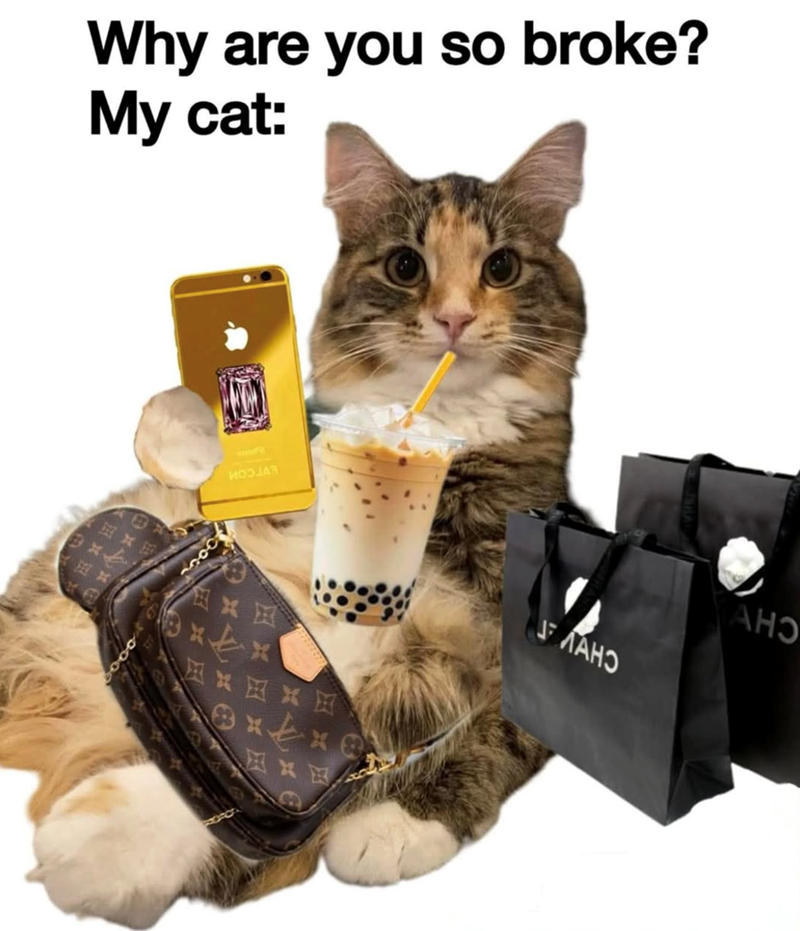 Why are you so broke? My cat: 水田田 snor ИОЗНАЯ MAHO JMAHO