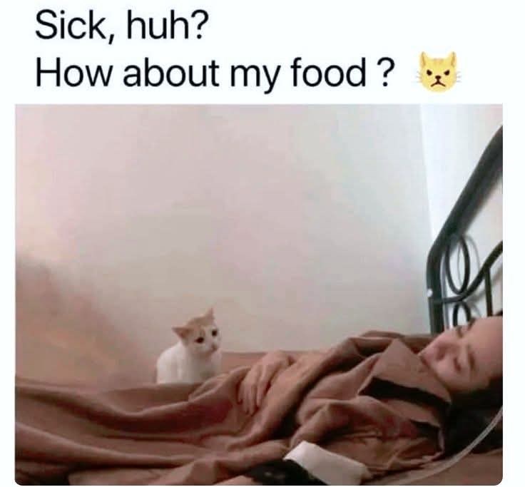 Sick, huh? How about my food?