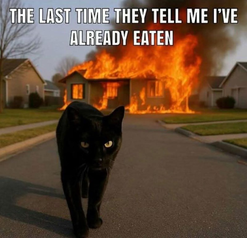 THE LAST TIME THEY TELL ME I'VE ALREADY EATEN