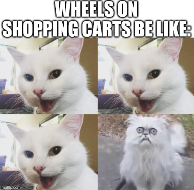 WHEELS ON SHOPPING CARTS BE LIKE: imgflip.com