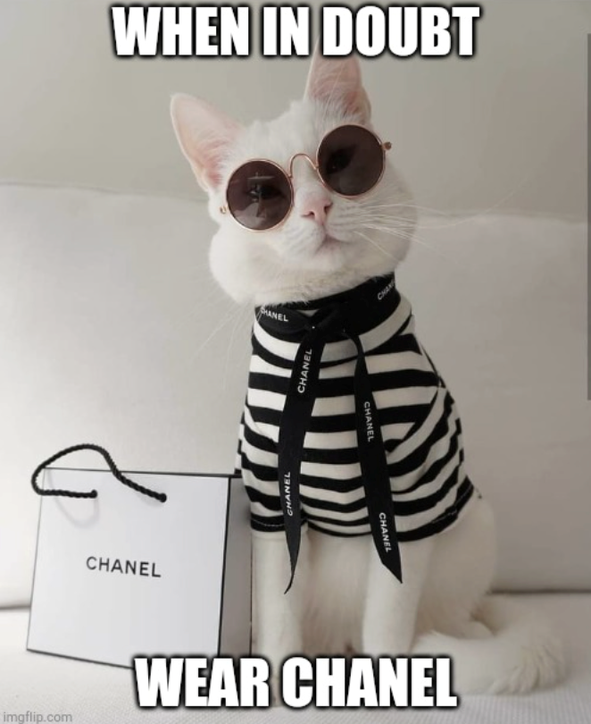 CHANEL WHEN IN DOUBT CHANEL MANEL CHANEL CHANEL CHANEL imgflip.com WEAR CHANEL CHAN