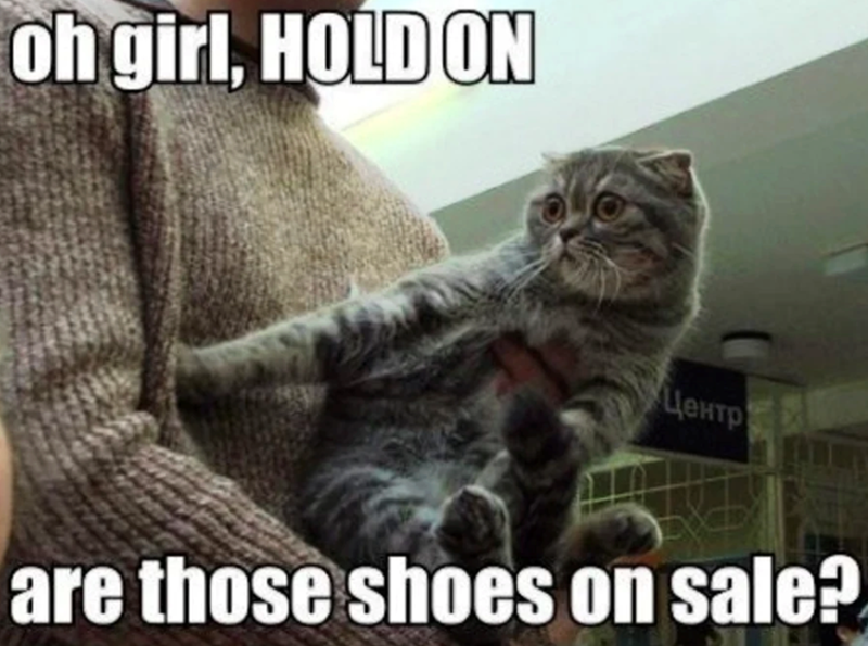 oh girl, HOLD ON Центр are those shoes on sale?