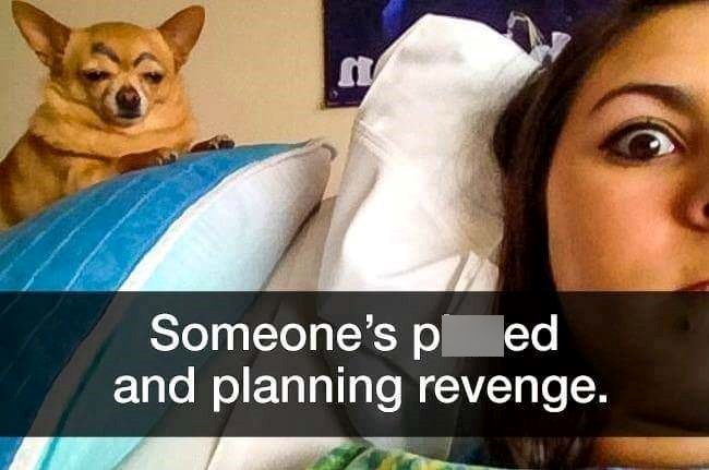 n Someone's ped and planning revenge.