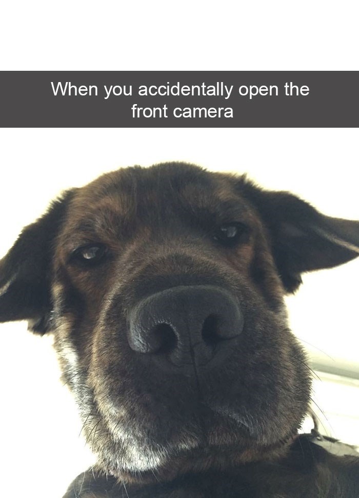 When you accidentally open the front camera