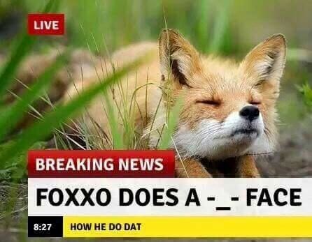 LIVE BREAKING NEWS FOXXO DOES A -_- FACE 8:27 HOW HE DO DAT