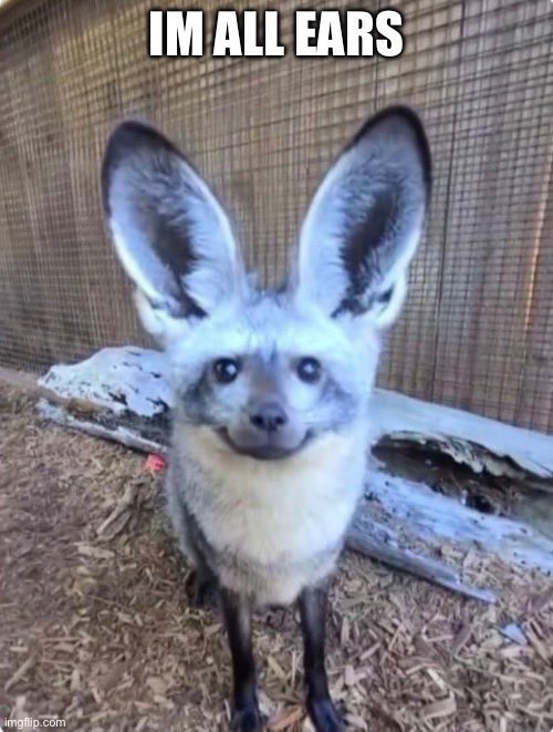 imgflip.com IM ALL EARS