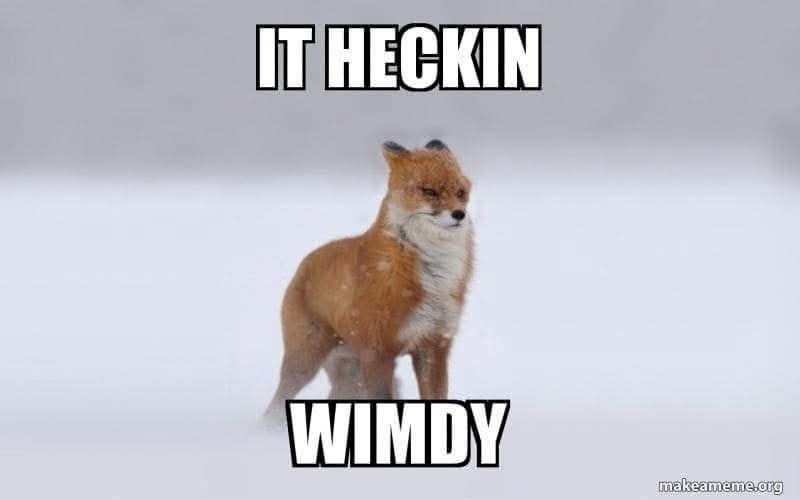 IT HECKIN WIMDY makeameme.org