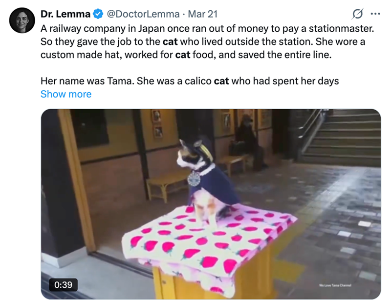 Dr. Lemma @DoctorLemma · Mar 21 A railway company in Japan once ran out of money to pay a stationmaster. So they gave the job to the cat who lived outside the station. She wore a custom made hat, worked for cat food, and saved the entire line. Her name was Tama. She was a calico cat who had spent her days Show more ... 0:39 We Love Tana Channel