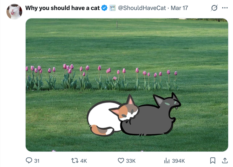 Why you should have a cat 31 14K 3 @Should HaveCat · Mar 17 I ... 33K Ill 394K