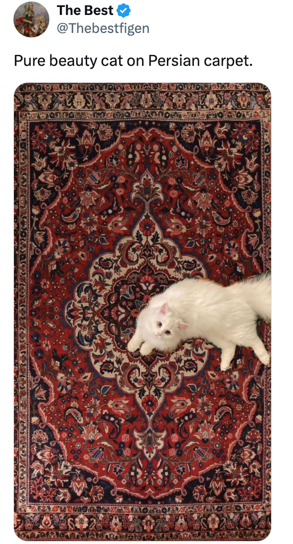 The Best @Thebestfigen Pure beauty cat on Persian carpet. SAL