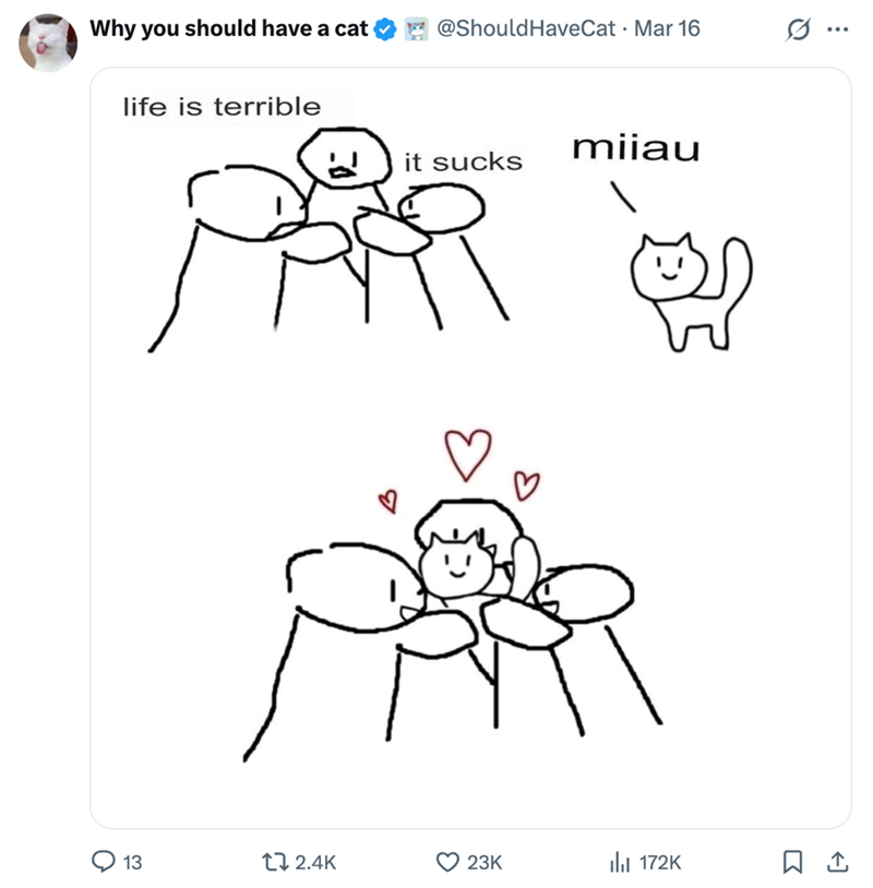 Why you should have a cat @ShouldHaveCat Mar 16 ... life is terrible O it sucks miiau 13 17 2.4K 23K ] 172K