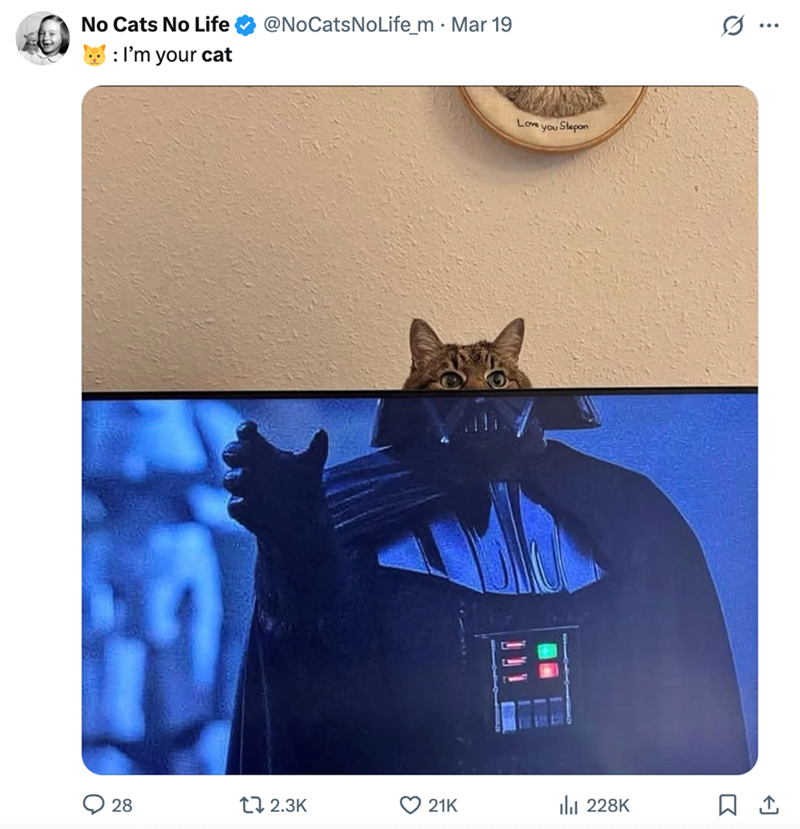 No Cats No Life @NoCatsNoLife_m. Mar 19 : I'm your cat Love you Stepon ... 28 12.3K 21K lil 228K ☐ 1