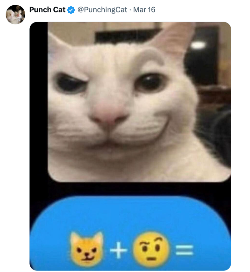 Punch Cat @PunchingCat · Mar 16 + 1 =