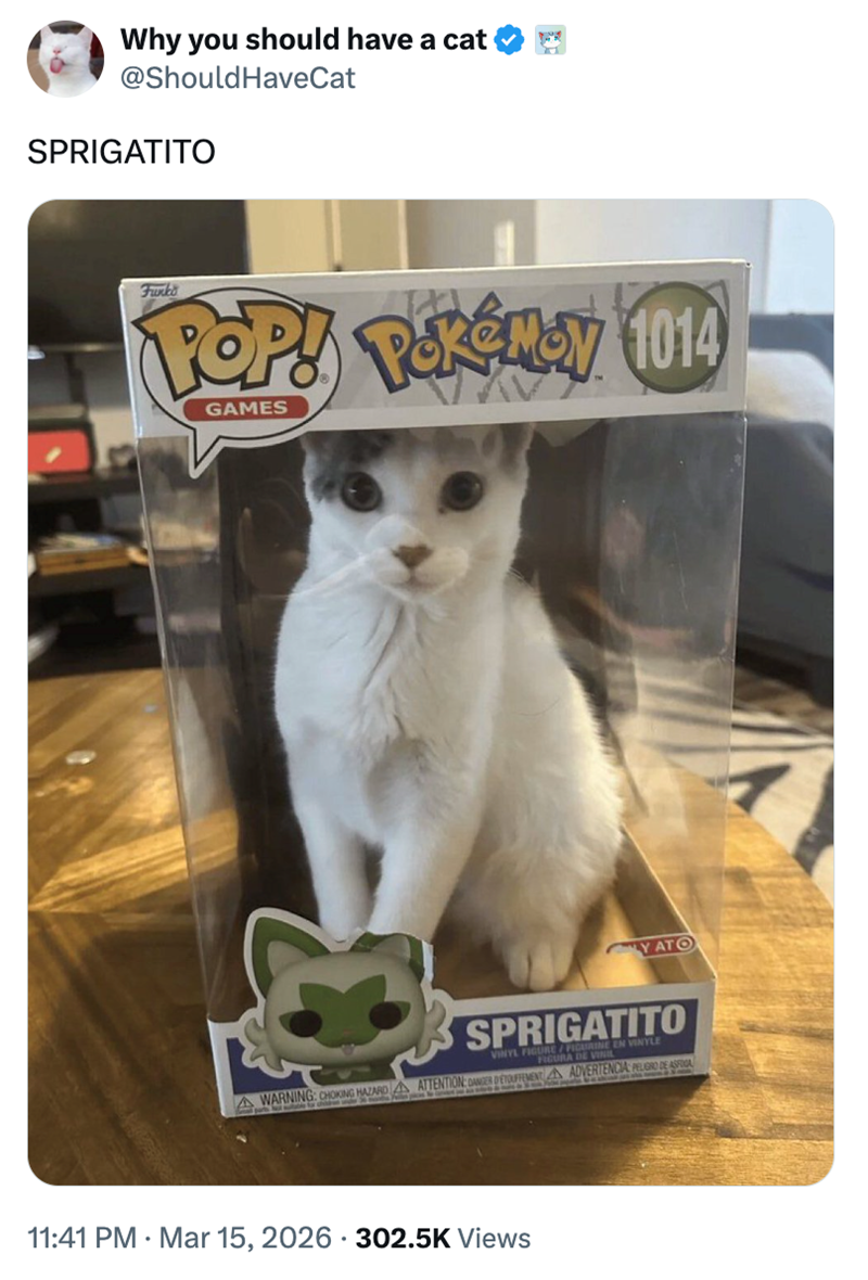 Why you should have a cat @Should HaveCat SPRIGATITO Funko POP! PokéNCY 1014 GAMES YATO SPRIGATITO VINYL FIGURELE EN VINYLE FIGURA AWARNING: CHOKING HAZARDA ATTENTION: DANGER DETOUFTEMENT ADVERTENCIA PELIGRO DE ASIGA 11:41 PM Mar 15, 2026 302.5K Views