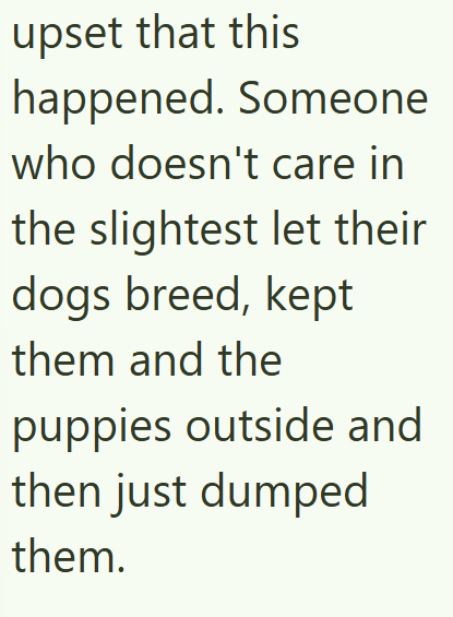 upset that this happened. Someone who doesn't care in the slightest let their dogs breed, kept them and the puppies outside and then just dumped them.