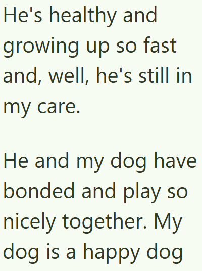 He's healthy and growing up so fast and, well, he's still in my care. He and my dog have bonded and play so nicely together. My dog is a happy dog