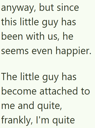 anyway, but since this little guy has been with us, he seems even happier. The little guy has become attached to me and quite, frankly, I'm quite