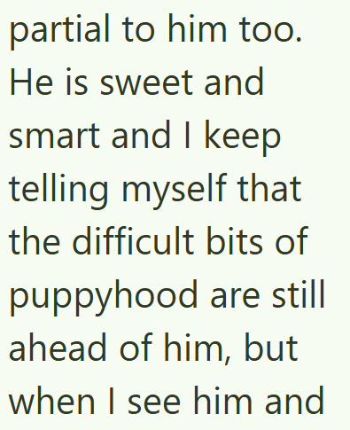 partial to him too. He is sweet and smart and I keep telling myself that the difficult bits of puppyhood are still ahead of him, but when I see him and