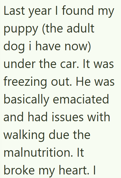 Last year I found my puppy (the adult dog i have now) under the car. It was freezing out. He was basically emaciated and had issues with walking due the malnutrition. It broke my heart. I